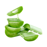 Aloe Vera Soap Refreshing Soothing Manufacturer Malaysia