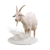 Goat Milk Soap Nourish Brightening Soap Manufacturer Malaysia