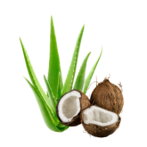 PH5.5 Aloe Vera Coconut Mild Soothing Baby Soap Manufacturer Malaysia