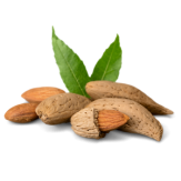Sweet Almond Soap Breast Plumping Firming Manufacturer Malaysia